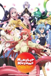 MVM Confirms 2018 Anime Slate & Release Adjustments
