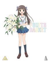 Fruits Basket Collector’s Edition Review