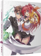 The Testament of Sister New Devil Review