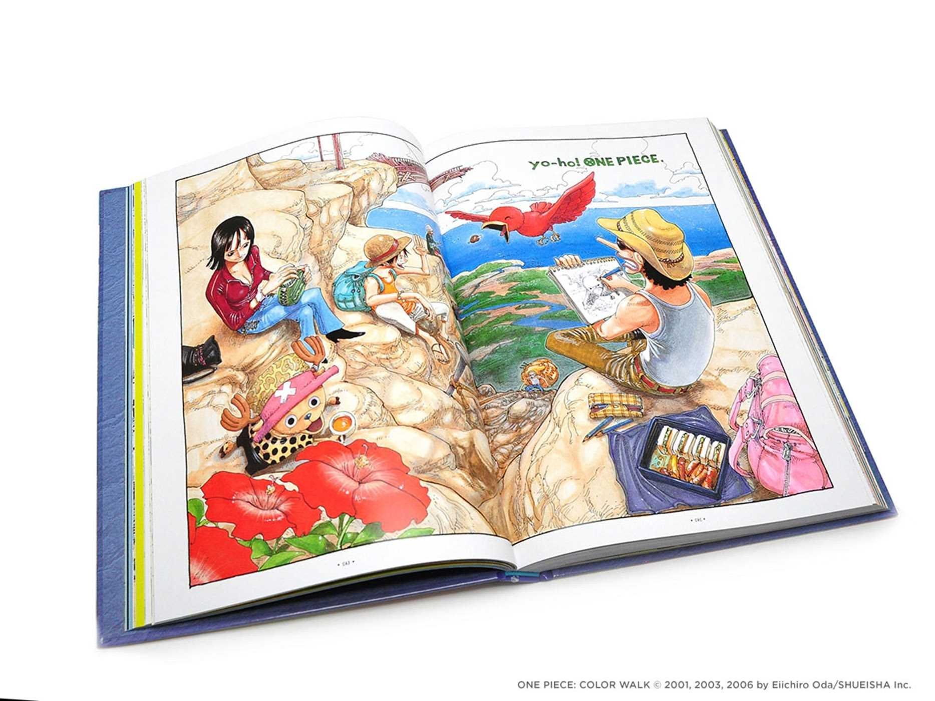 ONE PIECE COLOR WALK Vol.10 DRAGON EIICHIRO ODA Art Book / Illustrations  Japan