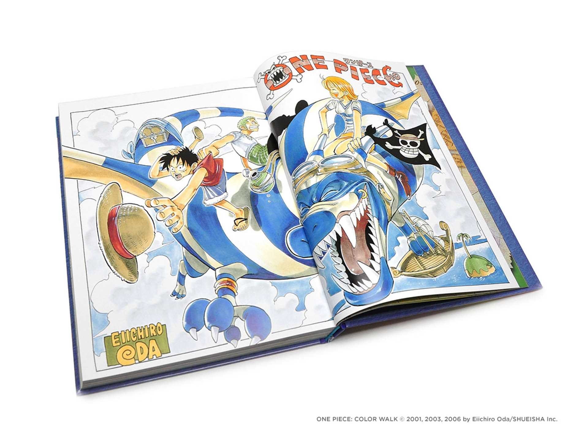 ONE PIECE COLOR WALK Vol.10 DRAGON EIICHIRO ODA Art Book / Illustrations  Japan