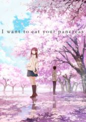 UPDATED: I Want to Eat Your Pancreas Joins Irelands’ Japanese Film Festival Next Month