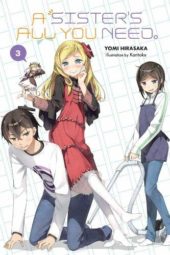 A Sister’s All You Need Volume 3 Review