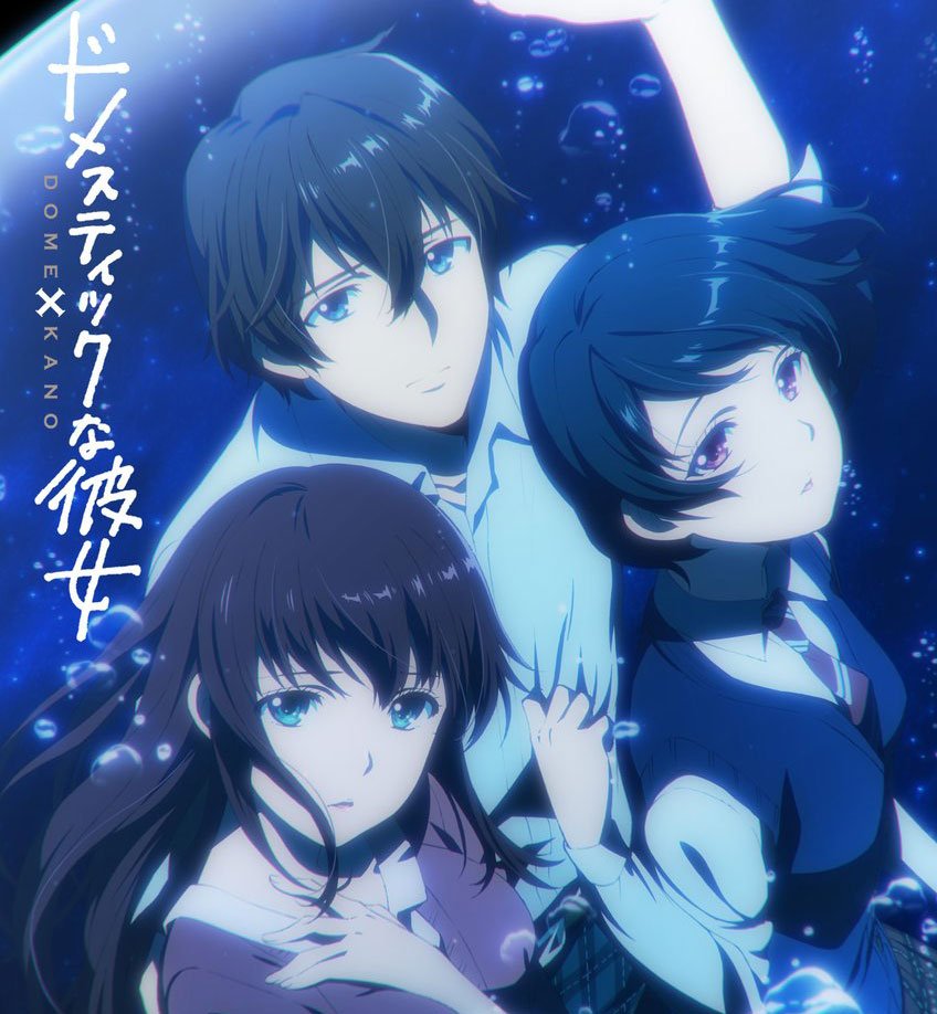 Domestic Girlfriend Complete Collection Review • Anime UK News