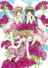 Anime Limited Acquires Cardcaptor Sakura and InuYasha Anime, Reveals B: The Beginning Ultimate Edition