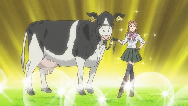 Crunchyroll  Silver Spoon Anime Staff Revealed