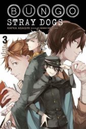 Bungo Stray Dogs (Light Novel) Volume 3 Review