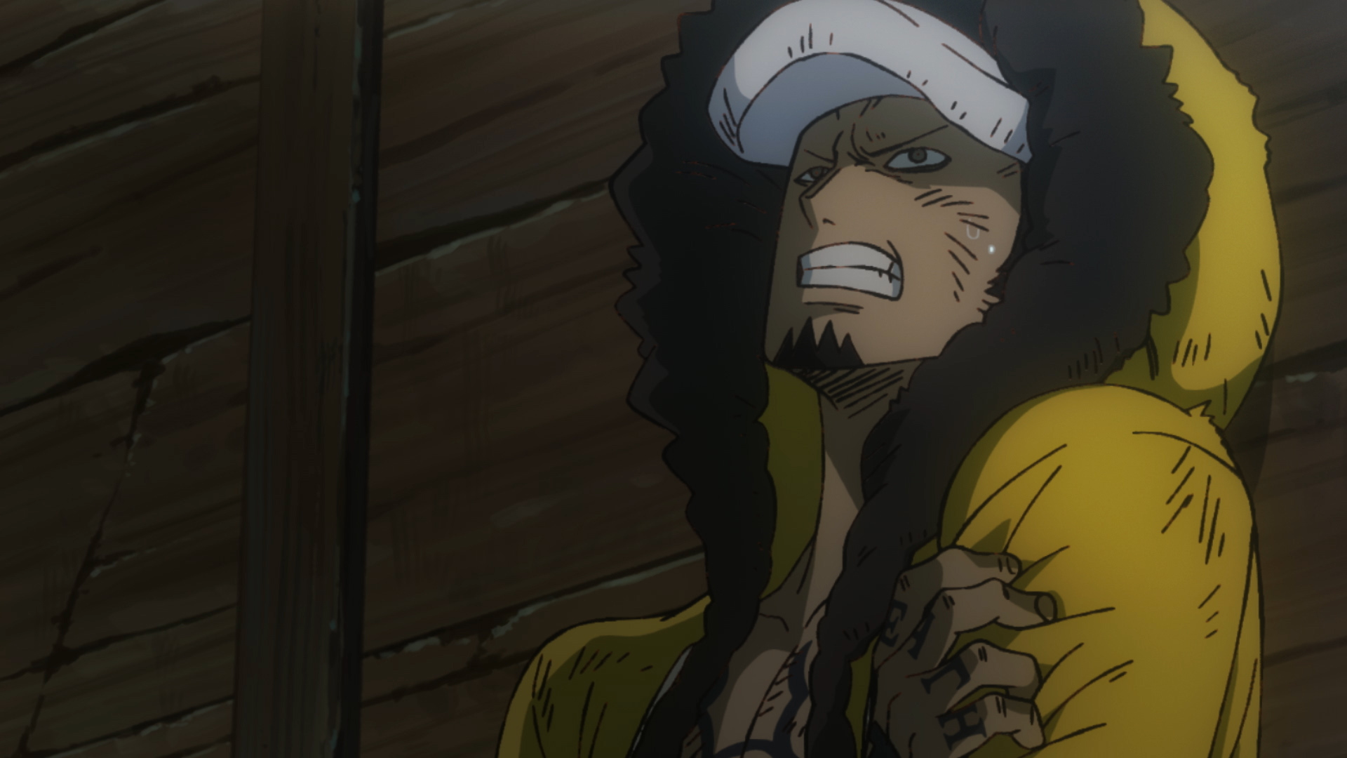 Stampede  Trafalgar law, One piece manga, One piece images