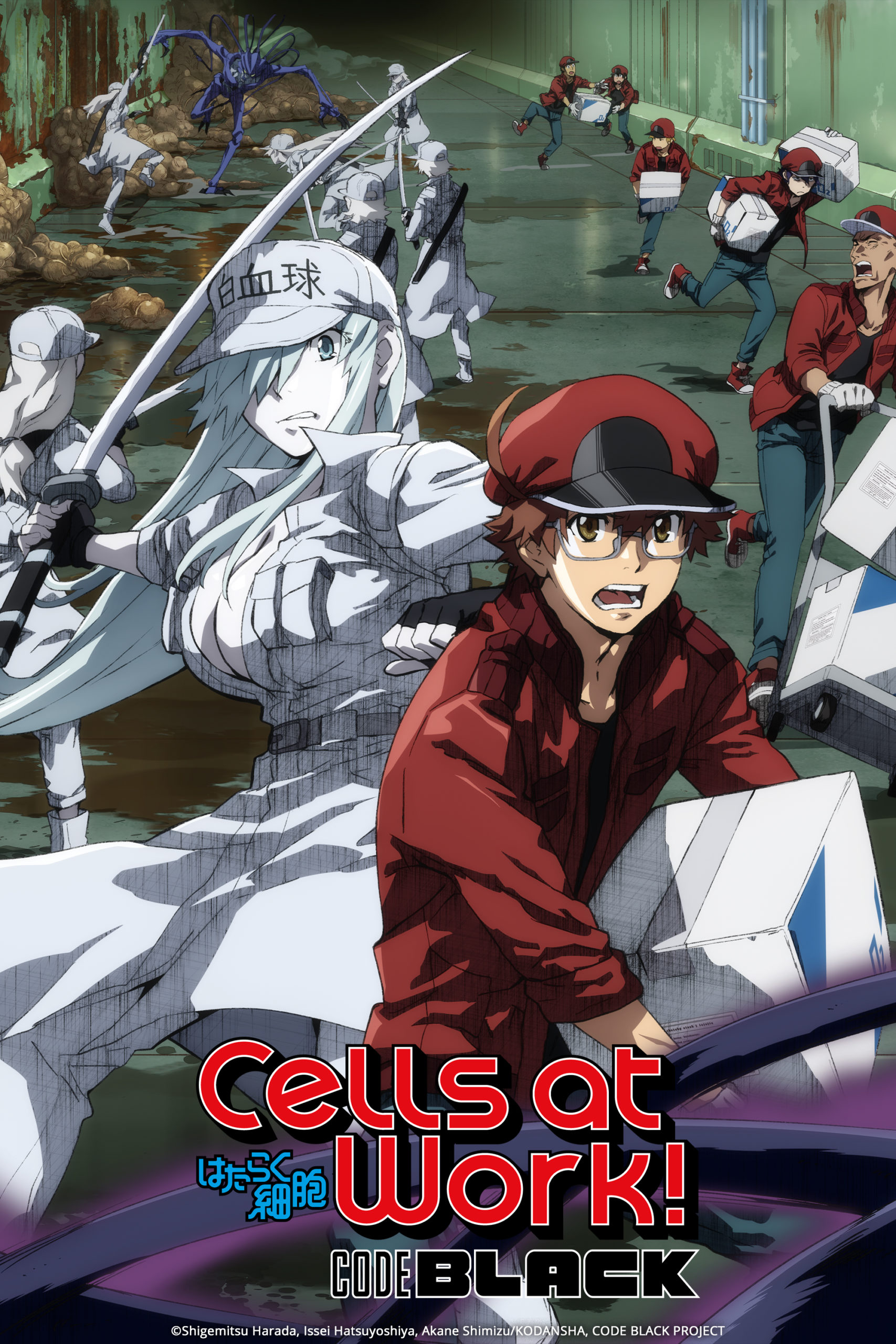 Funimation to simulcast BACK ARROW, Cells at Work!!, Horimiya