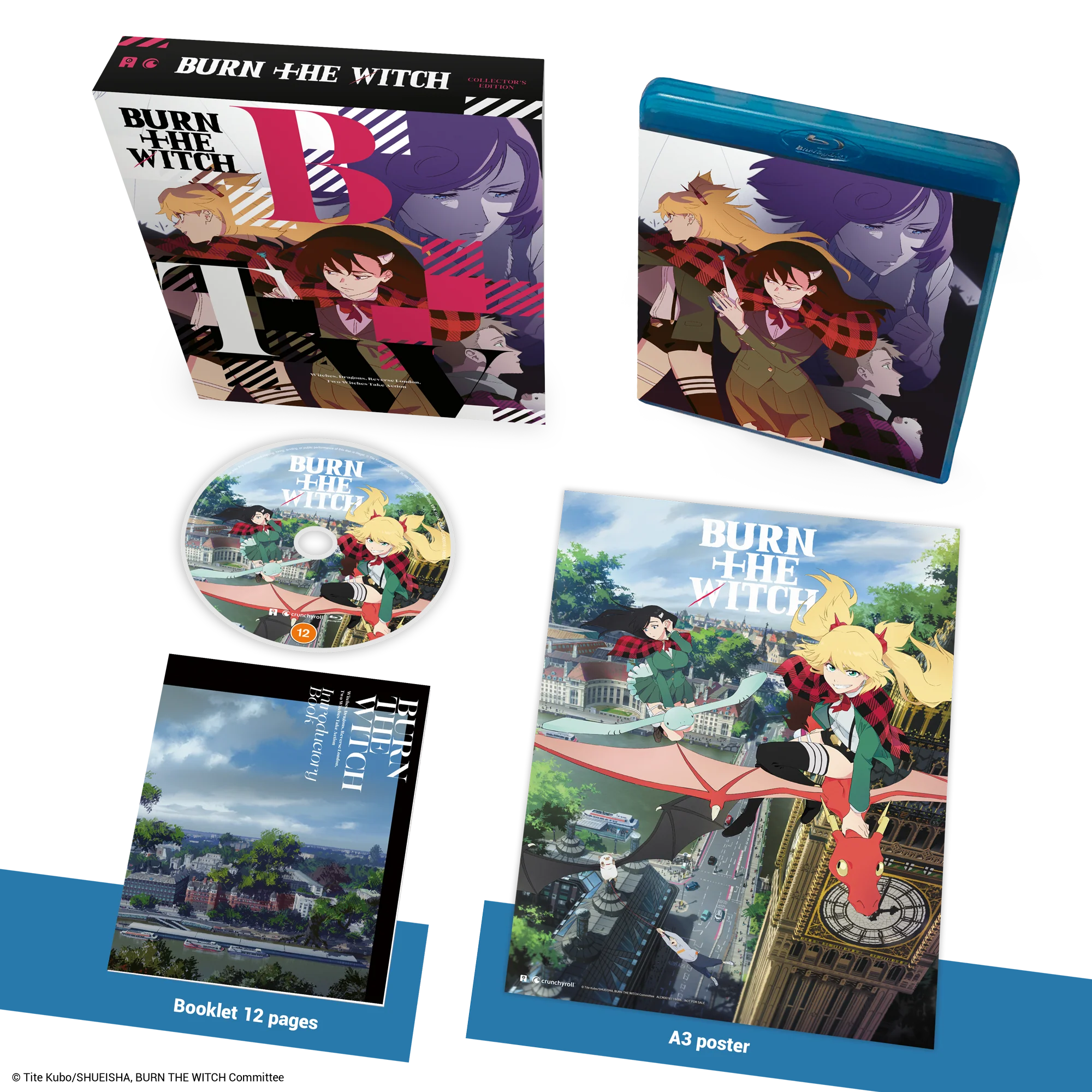 Burn the Witch: Limited Series (BD)