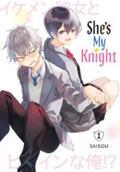 She’s My Knight Volume 1 Review
