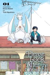 Please Look After the Dragon Volume 1 Review