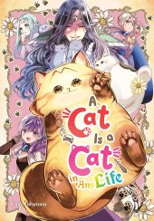 A Cat is a Cat in Any Life Review