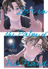 Love in the Palm of His Hand Volume 3 Review