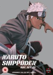 Naruto Shippuden Box Set 25 Review